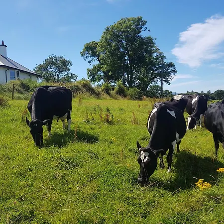 Debbie's At Tullig House & Farm Holiday home Killarney