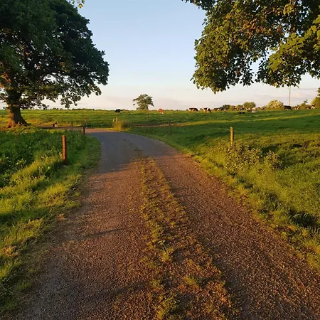 Debbie's At Tullig House & Farm