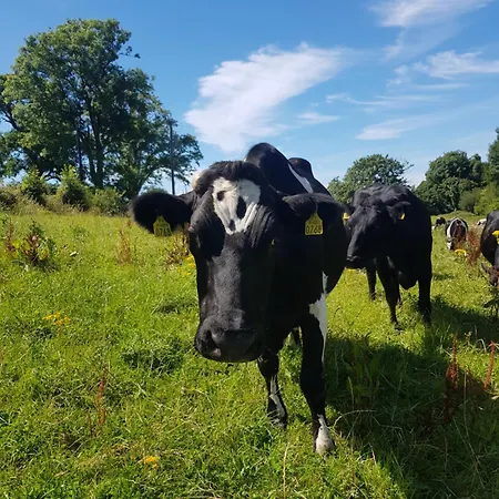Σπίτι διακοπών Debbie's At Tullig House & Farm *