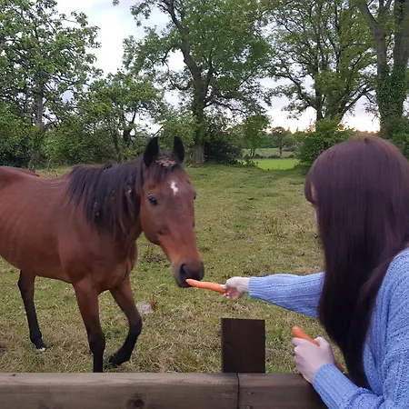 Debbie's At Tullig House & Farm 펜션
