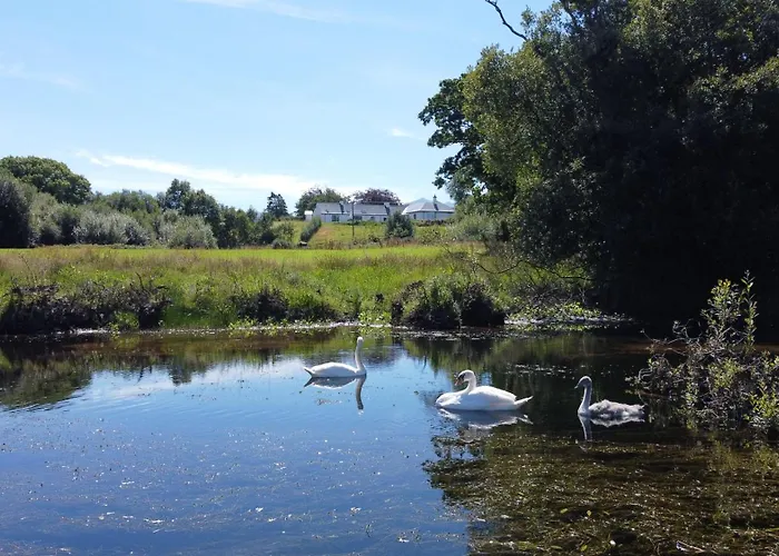 Debbie's At Tullig House & Farm 度假居 基拉尼