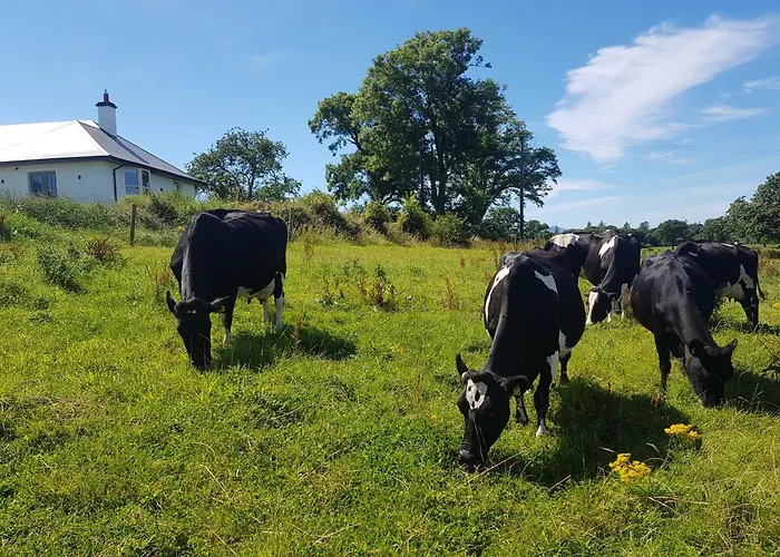 Debbie's At Tullig House & Farm 度假居 基拉尼