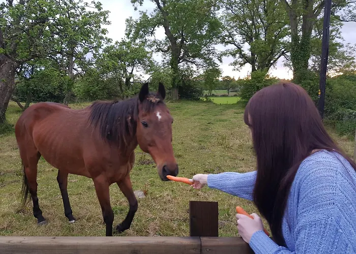 Debbie's At Tullig House & Farm 度假居